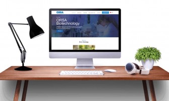 Trabzon’da Dijital Dönüşüm: Web Tasarımın Önemi