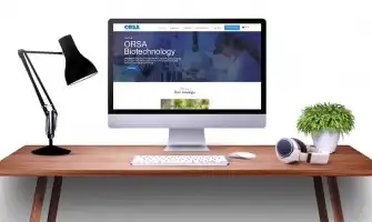 Google'da Üst Sıralara Çıkmak İçin İşletme Rehberi 2026